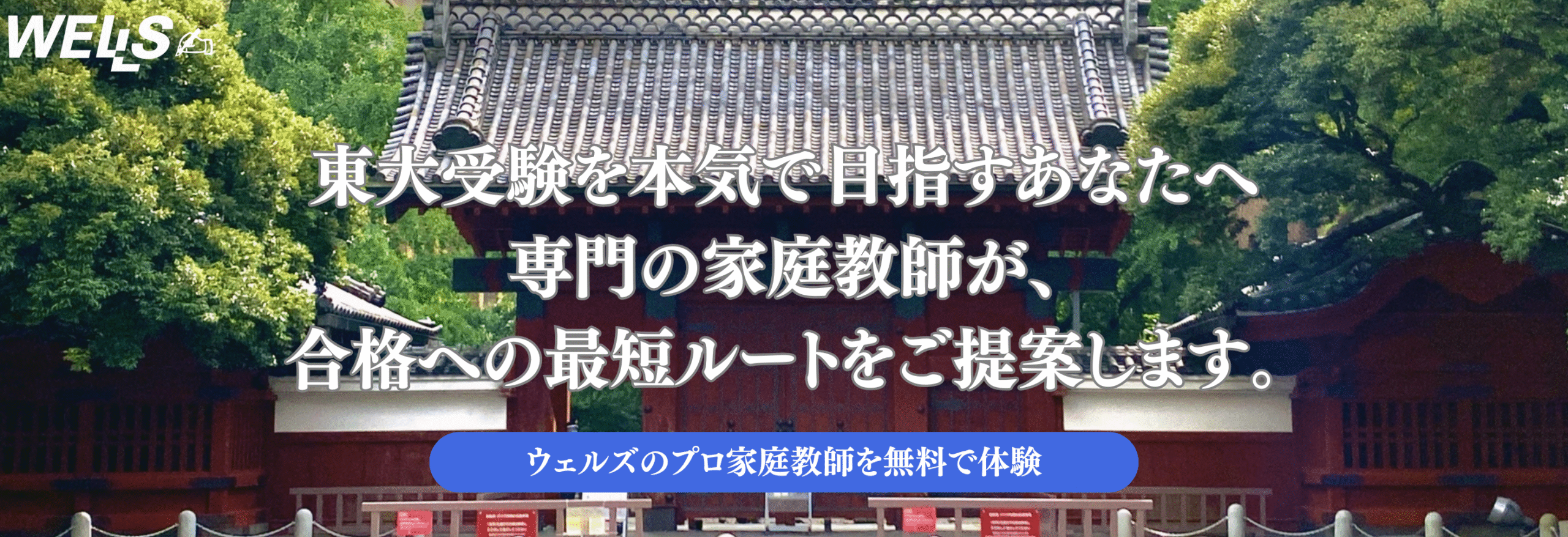 薬学部進級・卒業なら、ウェルズの薬学専門の家庭教師おまかせください。